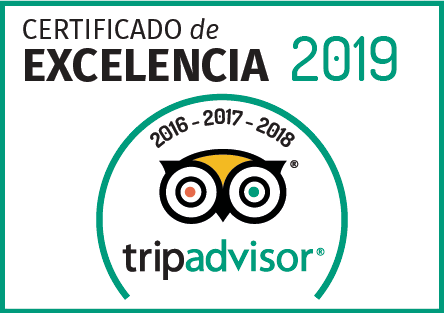 tripadvisor